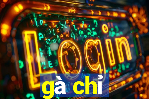 gà chỉ