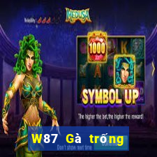 W87 Gà trống lớn 7 xổ số sao