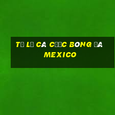 tỷ lệ cá cược bóng đá mexico