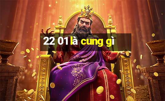 22 01 là cung gì