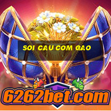 soi cau com gao