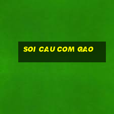 soi cau com gao