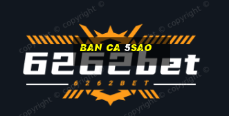 ban ca 5sao