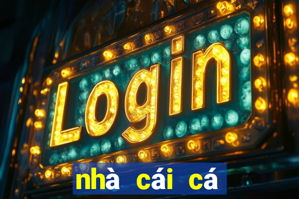 nhà cái cá cược bóng đá