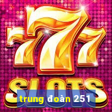 trung đoàn 251