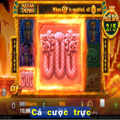 Cá cược trực tuyến i9bet