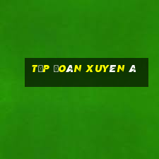 Tập đoàn Xuyên Á