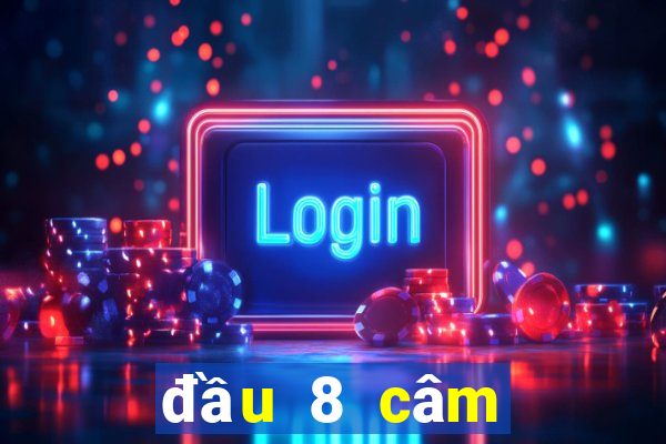 đầu 8 câm đánh con gì