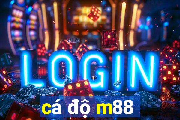 cá độ m88