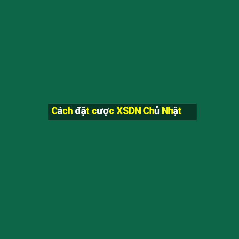 Cách đặt cược XSDN Chủ Nhật