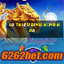 lò thiêu bình hưng hoà