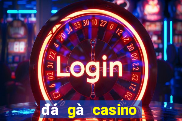 đá gà casino bữa nay