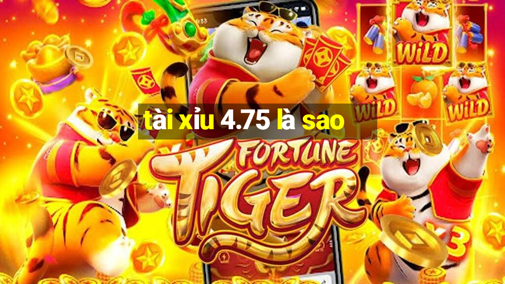 tài xỉu 4.75 là sao