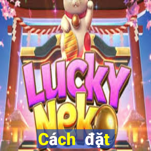 Cách đặt cược XSQNA hôm nay