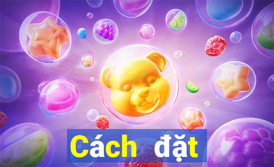 Cách đặt cược XSQNA hôm nay