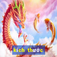 kích thước bệt vệ sinh