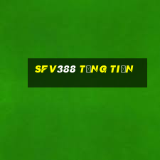 Sfv388 Tặng Tiền