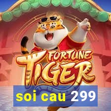 soi cau 299