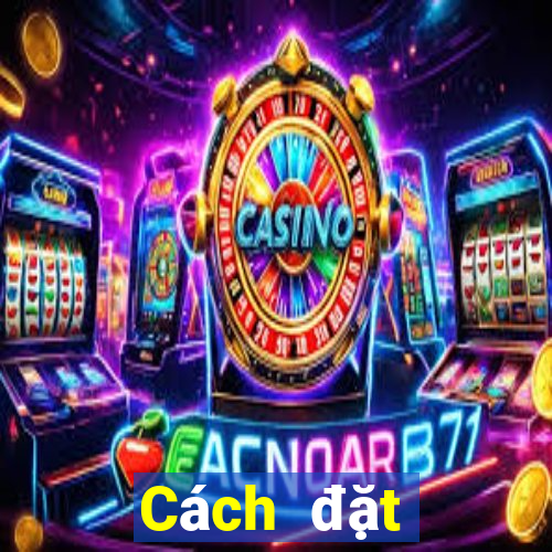 Cách đặt cược XSTB Chủ Nhật