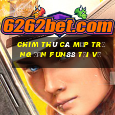 Chim Thú Cá Mập Trắng Đơn Fun88 Tải về