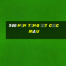 500 nền tảng đặt cược màu