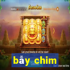 bẫy chim