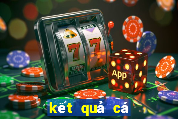 kết quả cá cược bóng đá