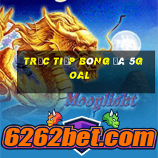 trực tiếp bóng đá 5goal