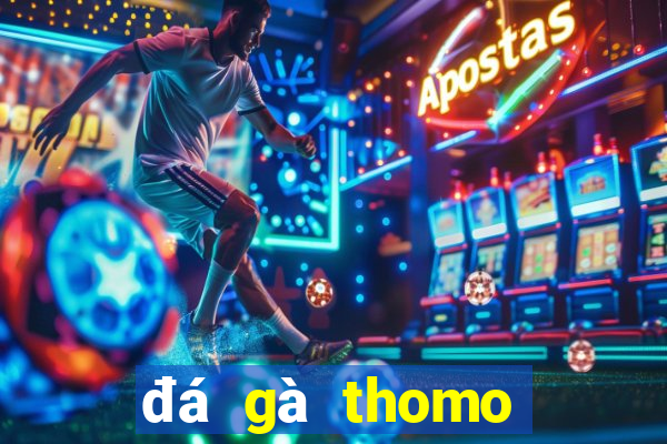 đá gà thomo trực tiếp