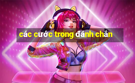 các cước trong đánh chắn