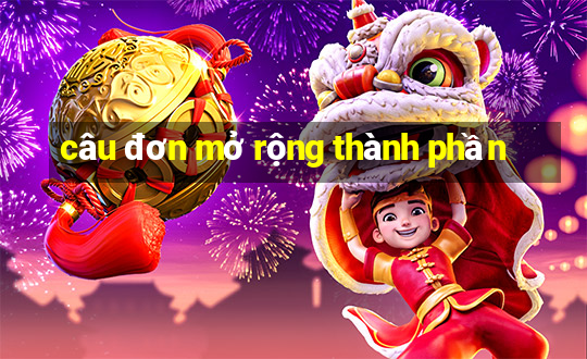 câu đơn mở rộng thành phần