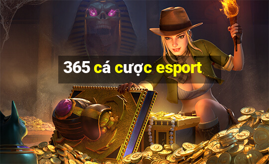 365 cá cược esport