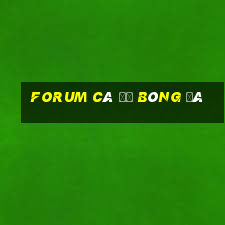 forum cá độ bóng đá