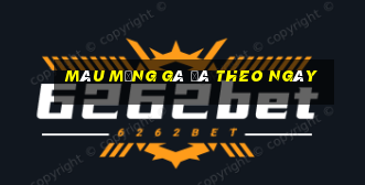 màu mạng gà đá theo ngày