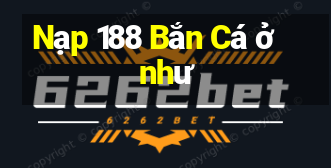 Nạp 188 Bắn Cá ở như