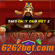 5043 Chạy Chó Net 2020