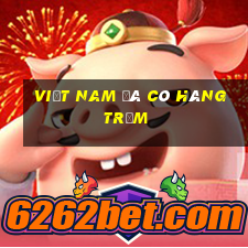 Việt nam đã có hàng trăm