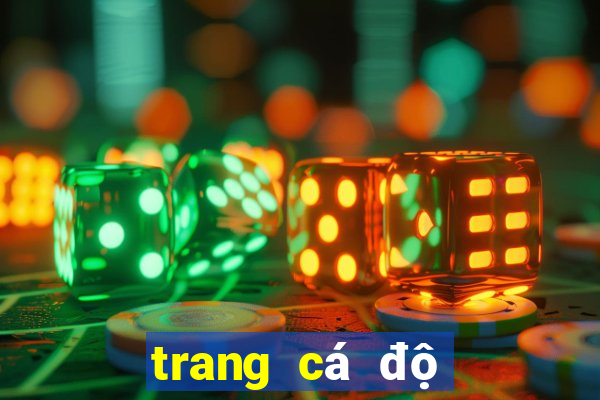 trang cá độ bóng đá xo88