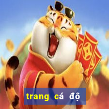 trang cá độ bóng đá xo88