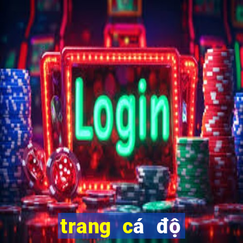 trang cá độ bóng đá xo88