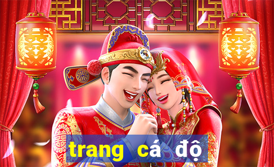 trang cá độ bóng đá xo88