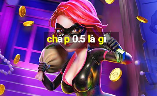 chấp 0.5 là gì