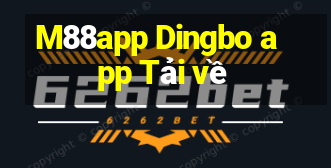 M88app Dingbo app Tải về