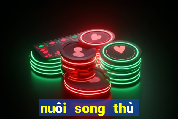 nuôi song thủ lô khung 3 ngày