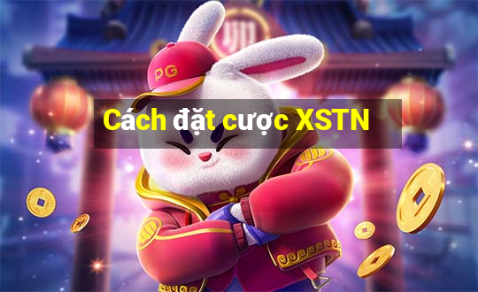 Cách đặt cược XSTN