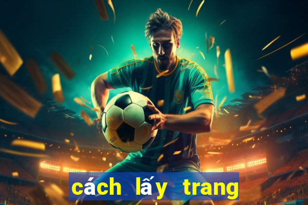 cách lấy trang cá độ bóng đá