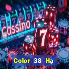 Color 38 Hạ cánh trực tuyến