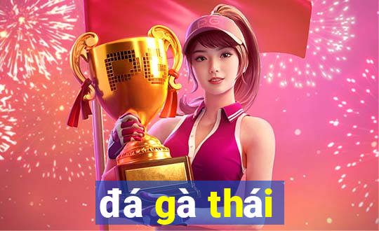 đá gà thái