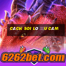 cách soi lô đầu câm