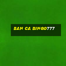 ban ca bingo777